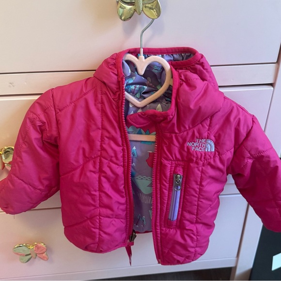 The North Face Other - The North Face Fuchsia Toddler Jacket